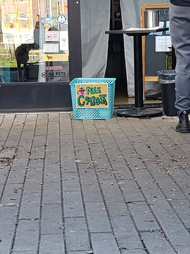 Coffee Shop «Cocoa Cinnamon - Hillsborough Rd», reviews and photos, 2627 Hillsborough Rd, Durham, NC 27705, USA