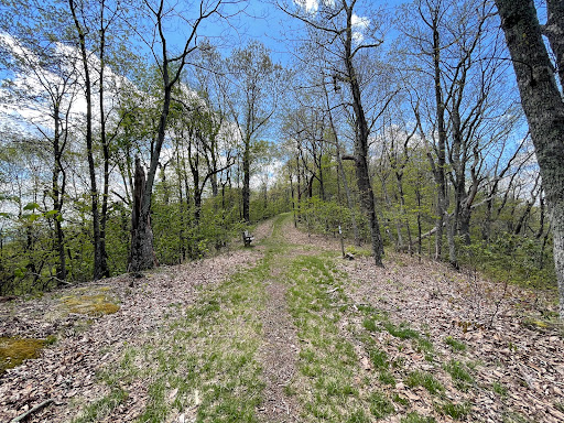 Audie Murphy Trailhead