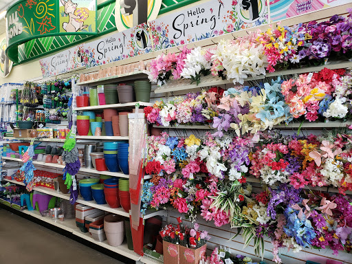 Dollar Store «Dollar Tree», reviews and photos, 8676 TX-121 #104, McKinney, TX 75070, USA