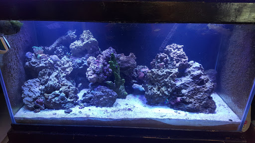 Aquarium «Aquarium In Old Town Inc», reviews and photos, 1001 E Douglas Ave, Wichita, KS 67211, USA