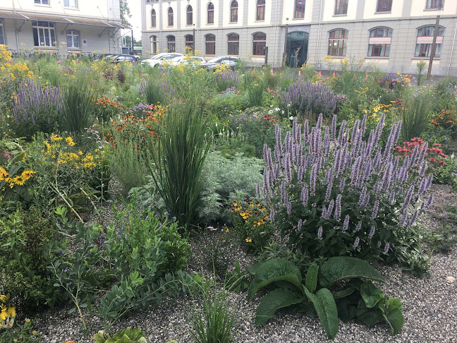 Altwegg blühende Gärten AG - Gartenbauer