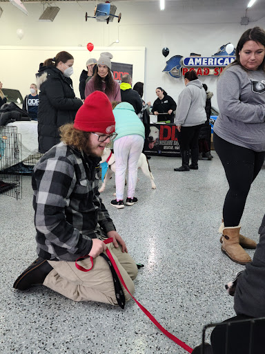 Used Car Dealer «City of Cars», reviews and photos, 1695 Stutz Dr, Troy, MI 48084, USA