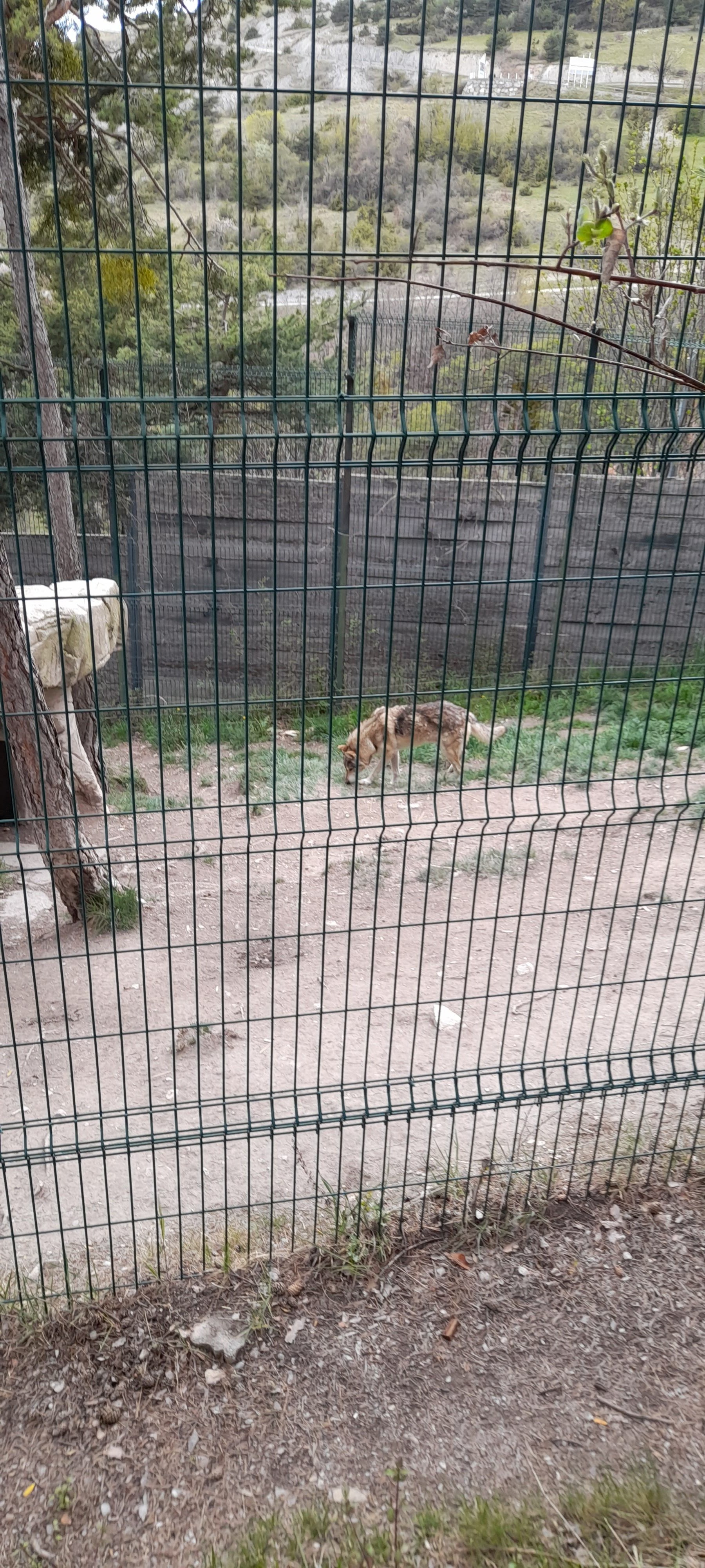 Photo n° 3 de l'avis de jennifer.a fait le 24/05/2023 à 11:46