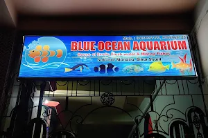 Blue Ocean Aquarium image