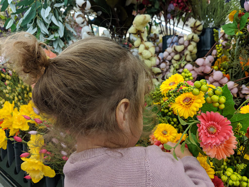 Craft Store «Hobby Lobby», reviews and photos, 5422 Forest Dr Suite 110, Columbia, SC 29206, USA