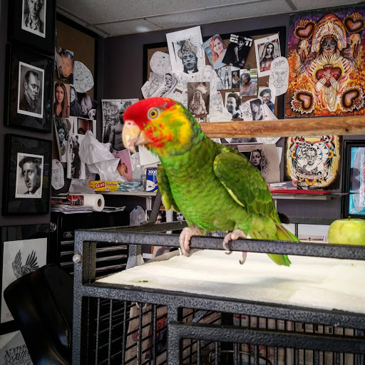 Explore still i rise tattoo ideas, creative tattoo ideas in Kansas City, available at Grimm Tattoo and Bert Grimm Museum