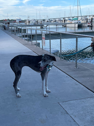 Marina «Fort Pierce City Marina», reviews and photos, 1 Avenue A, Fort Pierce, FL 34950, USA