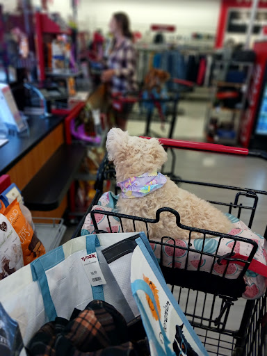 Shopping Mall «Lacey Mall», reviews and photos, 344 U.S. 9, Lanoka Harbor, NJ 08734, USA