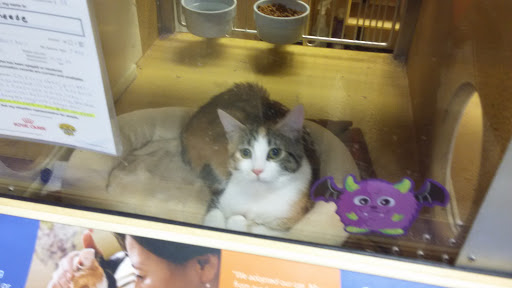 Pet Supply Store «PetSmart», reviews and photos, 150 Glynn Isle, Brunswick, GA 31525, USA