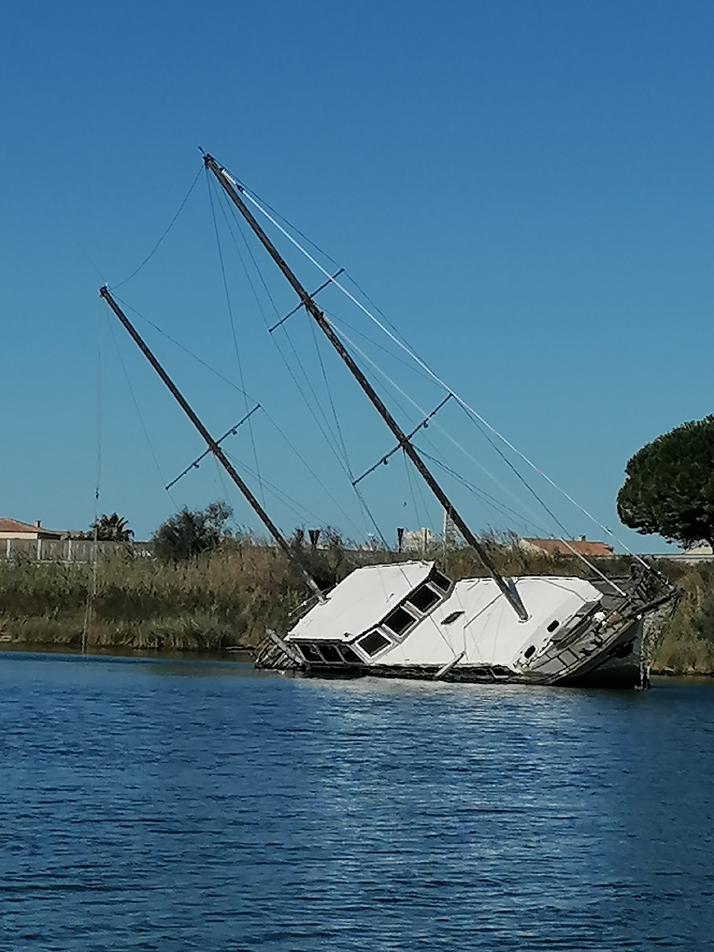 Photo n° 2 de l'avis de Ballestero.o fait le 29/08/2020 à 08:18