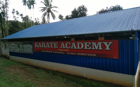 Karate Academy image