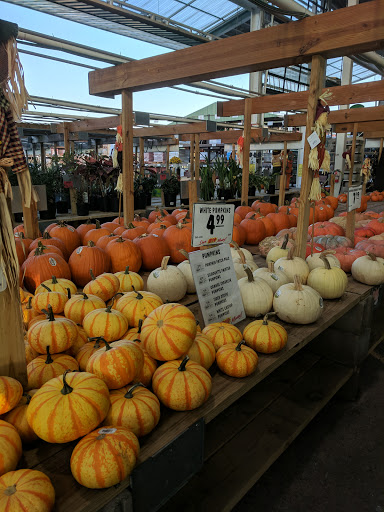 Home Improvement Store «Menards», reviews and photos, 8301 Windfall Ln, Camby, IN 46113, USA