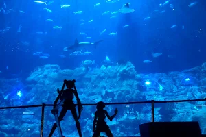 Grand Aquarium, Ocean Park Aqua City image