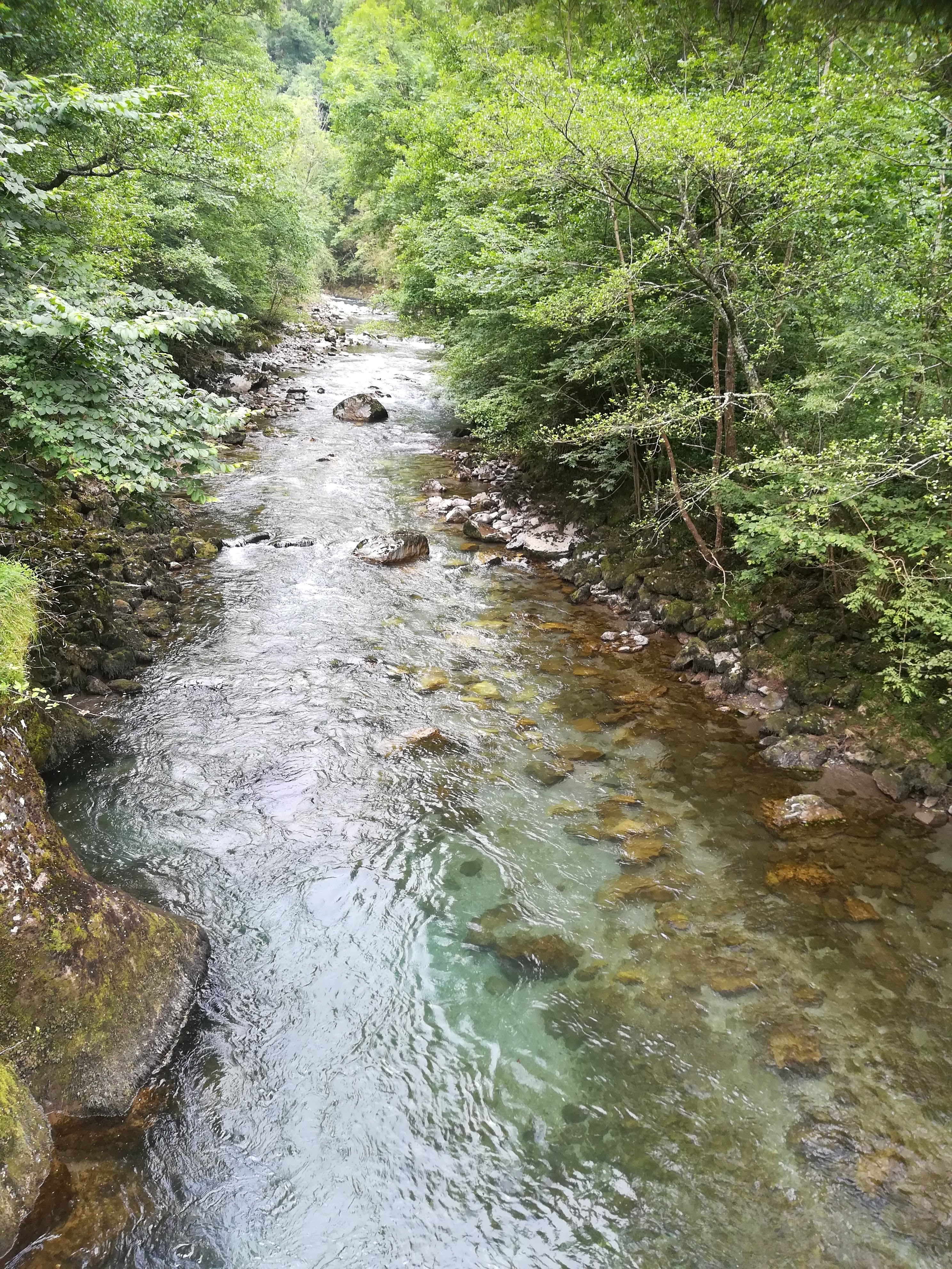 Photo n° 7 de l'avis de Caroline. fait le 19/08/2018 à 07:41