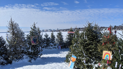 Park «Morrison Park», reviews and photos, 1451 Morrison St, Madison, WI 53703, USA