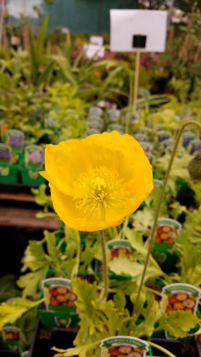 Hardware Store «Ham Lake Hardware Hank», reviews and photos, 17426 MN-65, Ham Lake, MN 55304, USA