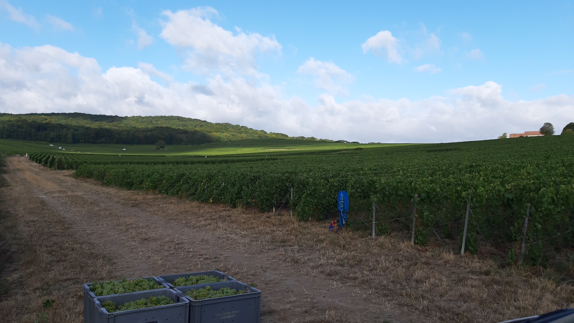 Photo n° 3 de l'avis de grégory.A fait le 26/08/2020 à 07:19