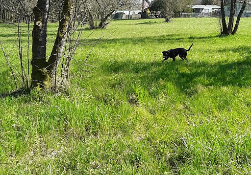 Park «Guy Lee Park», reviews and photos, 890 Darlene Ave, Springfield, OR 97477, USA