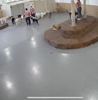 Smart Parke - Photo 7 - Car repair in Corona, CA, Corona