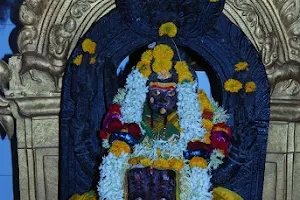 Shree Bhanashankari Temple image