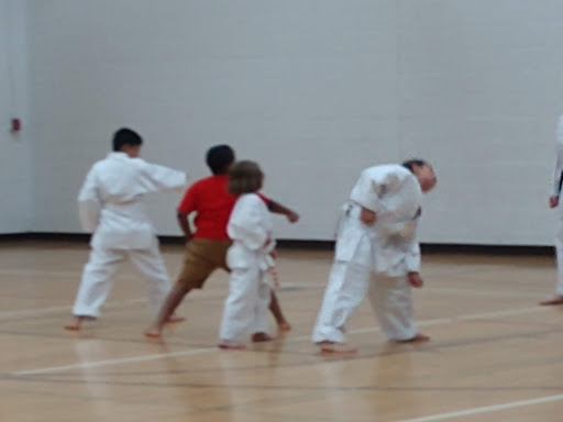 Recreation Center «Grayslake Community Park», reviews and photos, 240 Commerce Dr, Grayslake, IL 60030, USA