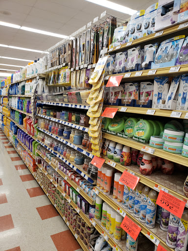 Grocery Store «Market Basket», reviews and photos, 301 Constitution Ave, Littleton, MA 01460, USA