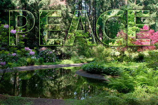 The Grotto, 8840 NE Skidmore St, Portland, OR 97220, USA, 