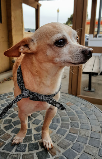 Car Wash «Riverbend Hand Car Wash», reviews and photos, 22290 La Palma Ave, Yorba Linda, CA 92887, USA