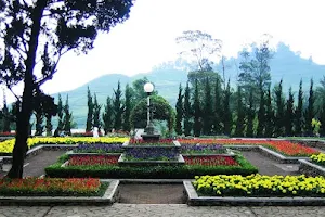 Melrimba Garden image