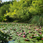 Photo n° 7 de l'avis de fabienne.O fait le 21/08/2022 à 06:07 pour Les Jardins du Loriot à Venansault