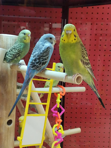 Pet Supply Store «Petco Animal Supplies», reviews and photos, 11639 S Pkwy Plaza Dr, South Jordan, UT 84095, USA