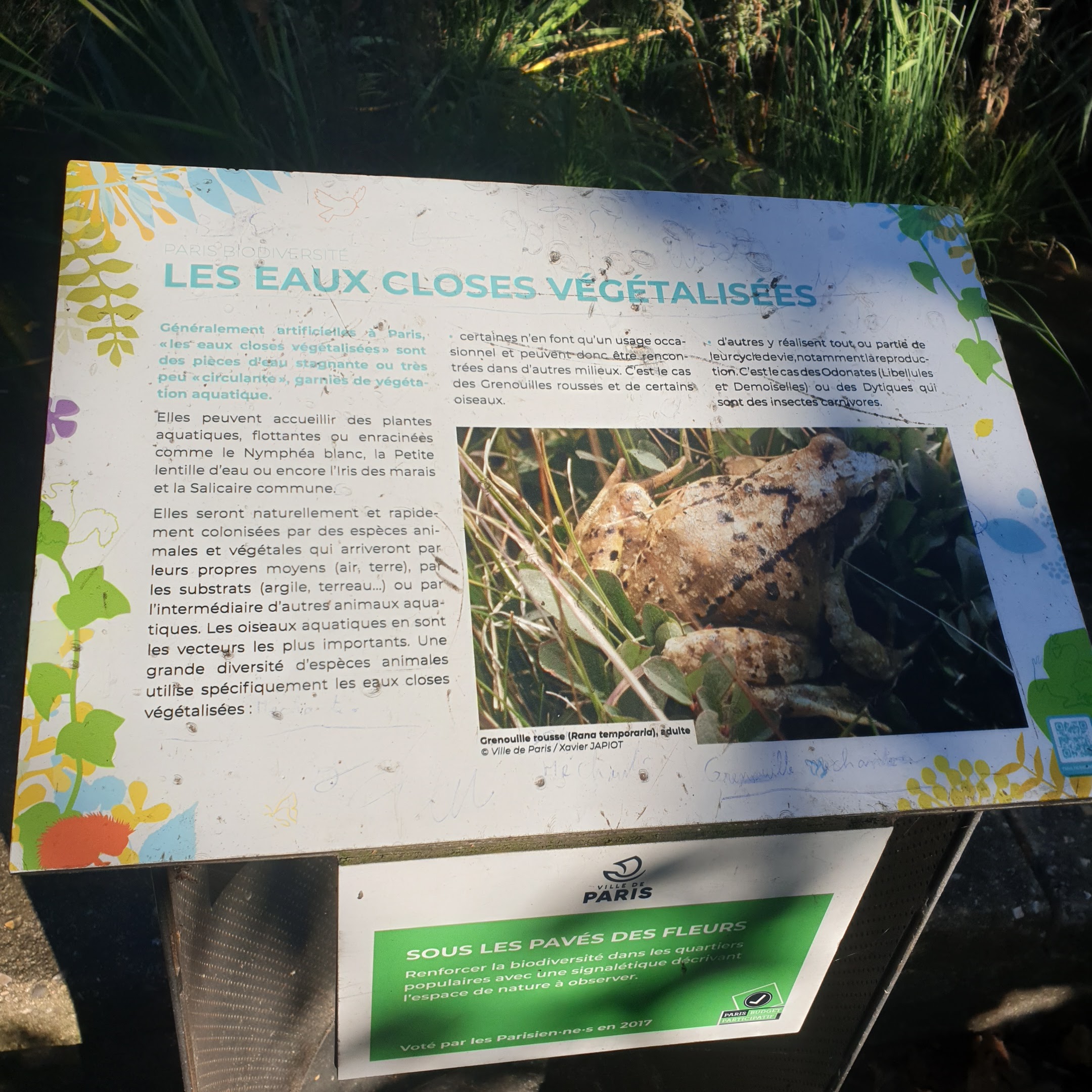Photo n° 1 de l'avis de OLIVIER.A fait le 16/10/2023 à 20:23