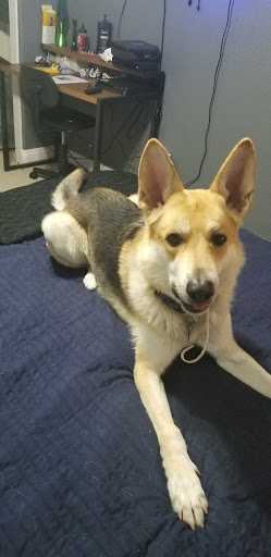 Imax Theater «Galaxy Sparks IMAX Luxury+ Theatre», reviews and photos, 1170 Scheels Drive, Sparks, NV 89434, USA