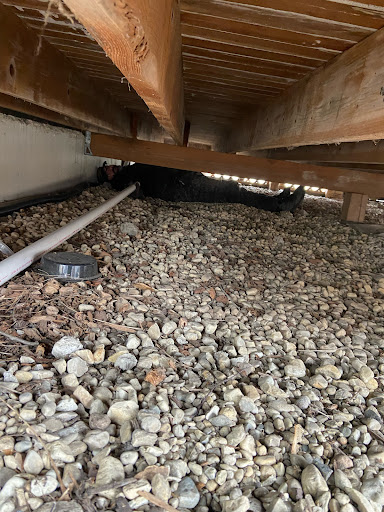 Plumber «Lifeline Plumbing, Heating & Cooling», reviews and photos, 296 Williams Pl, East Dundee, IL 60118, USA