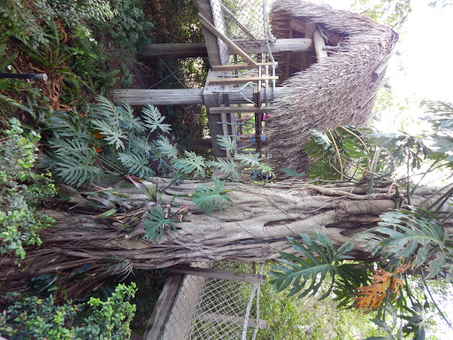 Country Club «Lely Resort Golf & Country Club», reviews and photos, 8004 Lely Resort Blvd, Naples, FL 34113, USA