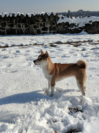 Park «Palisades Park Recreation Area», reviews and photos, 676 Undercliff Ave, Edgewater, NJ 07020, USA