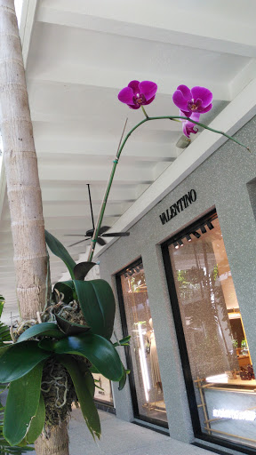 Shopping Mall «Bal Harbour Shops», reviews and photos, 9700 Collins Ave, Bal Harbour, FL 33154, USA