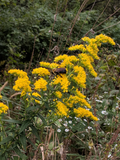 Park «Mount Storm Park», reviews and photos, 700 Lafayette Ave, Cincinnati, OH 45223, USA