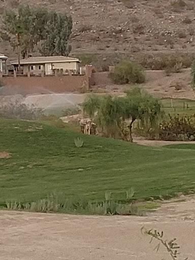 Golf Club «Foothills Golf Club», reviews and photos, 2201 E Clubhouse Dr, Phoenix, AZ 85048, USA