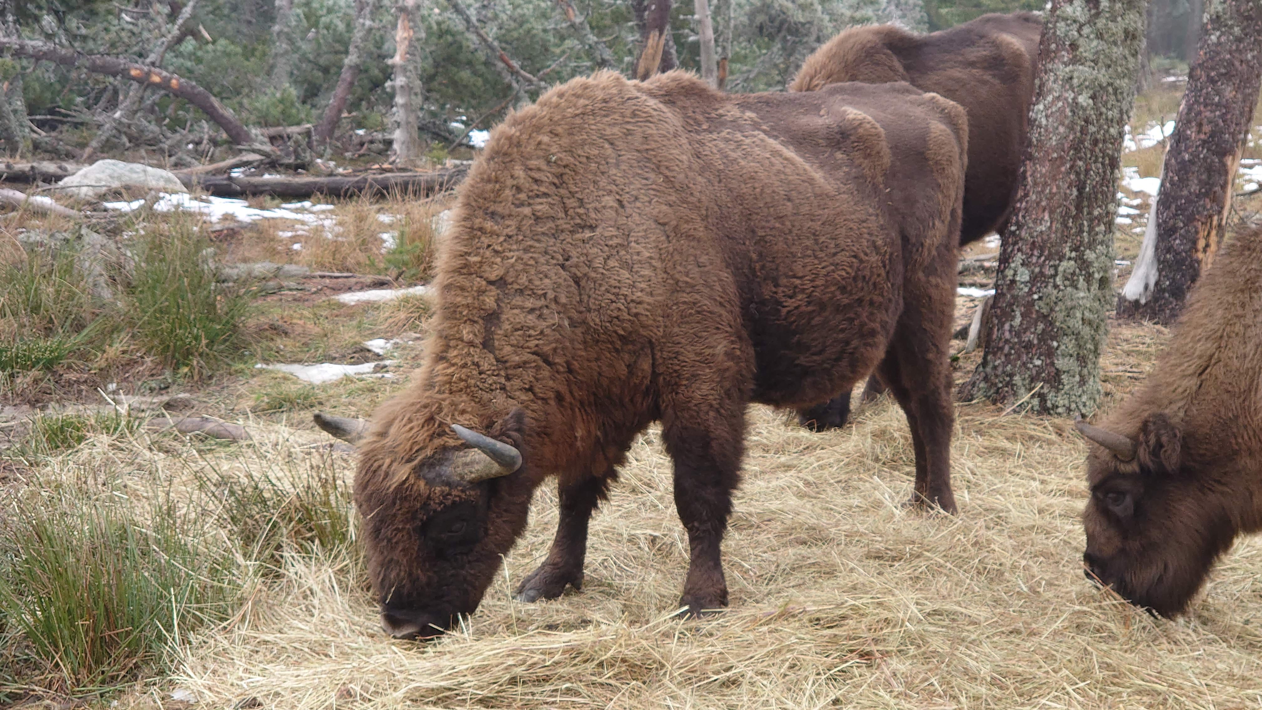 Photo n° 3 de l'avis de Christine.o fait le 29/12/2019 à 10:27