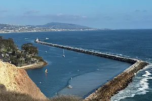 Dana Point Lookout image