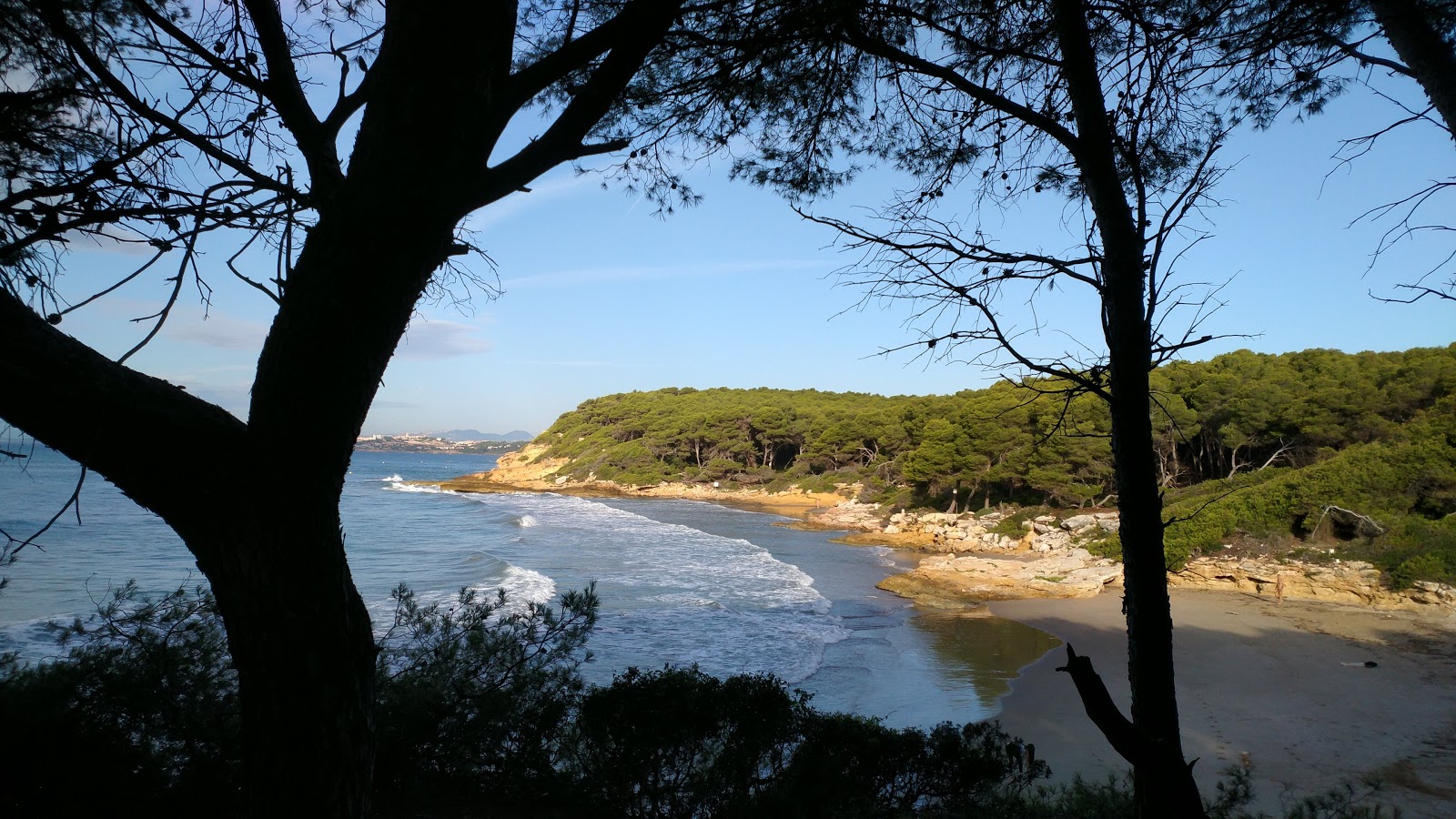 Foto de Cala de la Roca Plana com muito limpo nível de limpeza