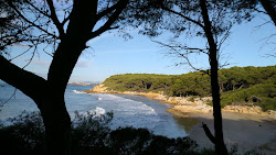 Foto di Cala de la Roca Plana con molto pulita livello di pulizia