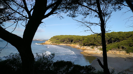 Cala de la Roca Plana