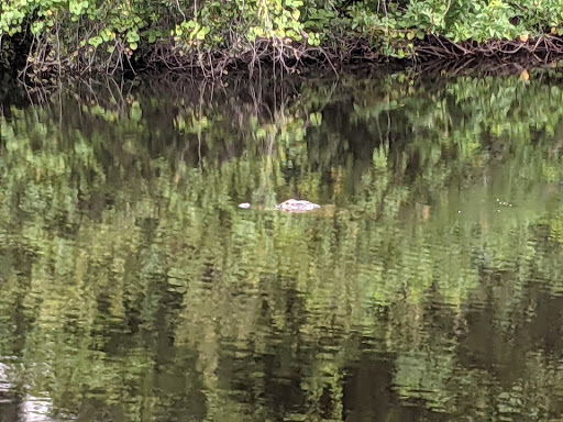 Golf Club «Scepter Golf Club reservations», reviews and photos, 1226 Newpoint Loop, Sun City Center, FL 33573, USA