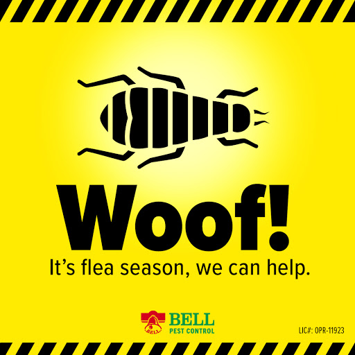 Bell Pest Control image