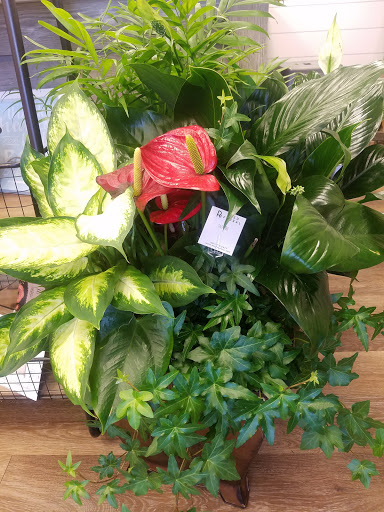 Florist «Reed Floral & Gift», reviews and photos, 5364 S 1900 W, Roy, UT 84067, USA