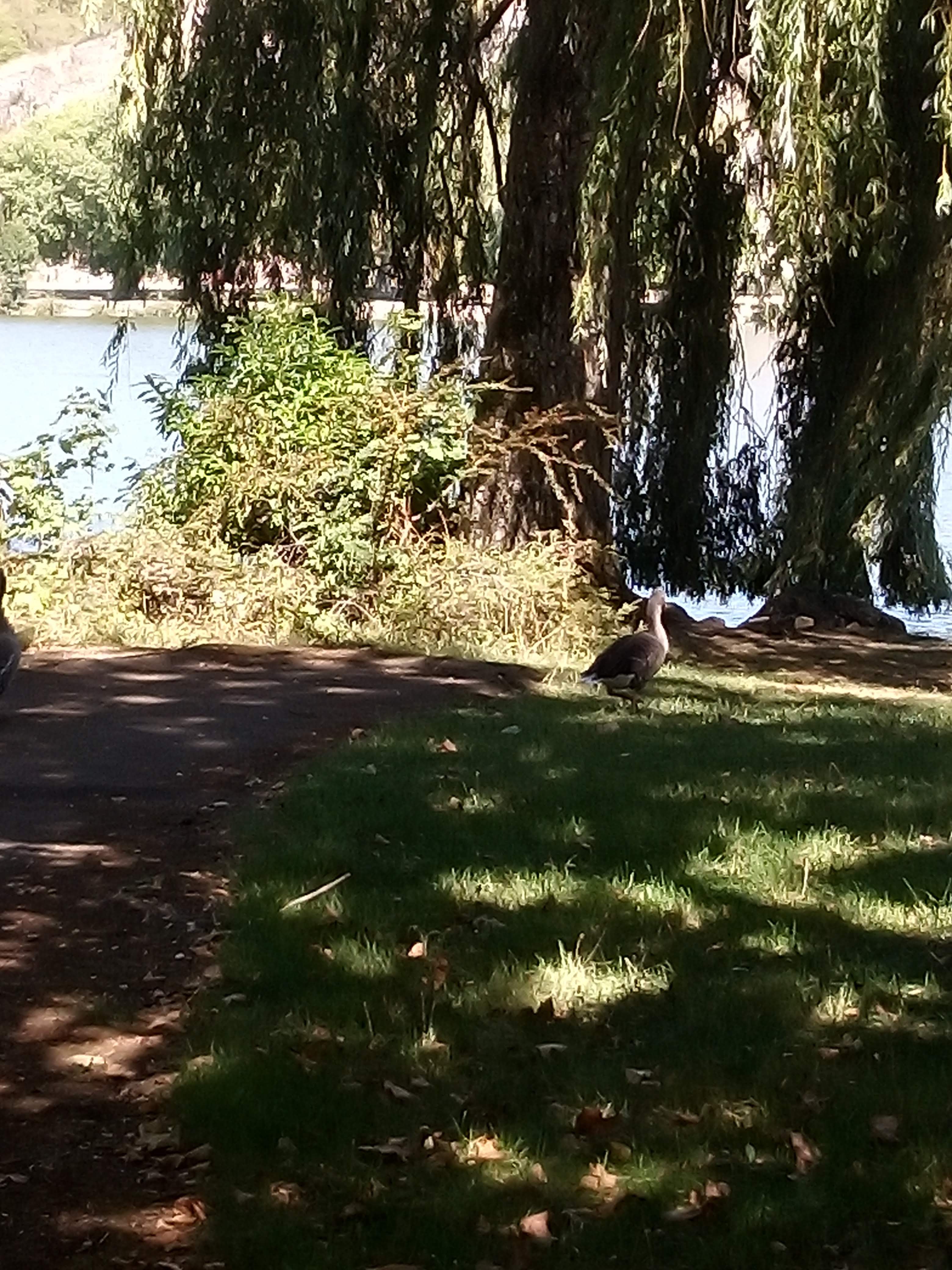 Photo n° 2 de l'avis de Martine.o fait le 10/09/2020 à 15:22