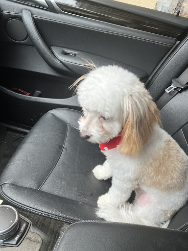 Pet Supply Store «Petsense Columbia», reviews and photos, 7402 Garners Ferry Rd, Columbia, SC 29209, USA