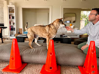 Dog House Rehab - Photo 1 - Car repair in , Glendale